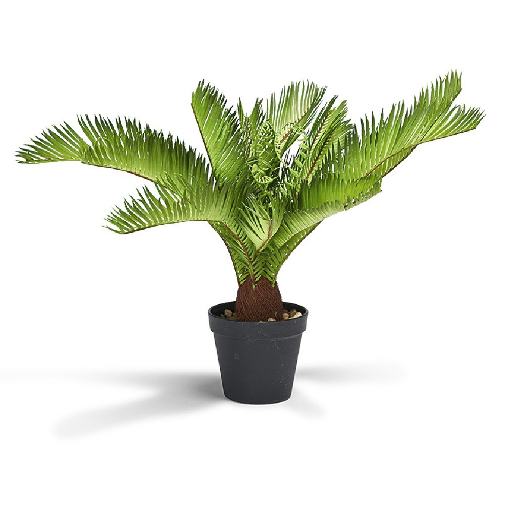 palmier artificiel 50 cm (GiFi-544411X)
