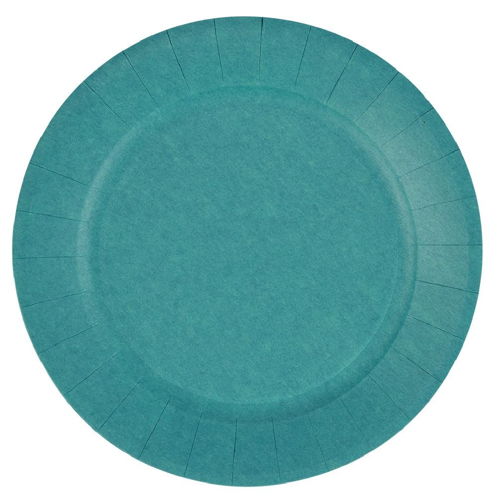 lot de 10 assiettes en carton bleu canard biodégradable Ø23 cm (GiFi-570447X)