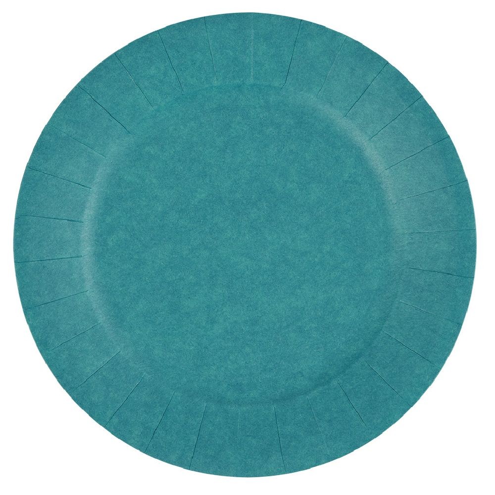 lot de 10 assiettes en carton bleu canard biodégradable Ø18 cm (GiFi-570448X)