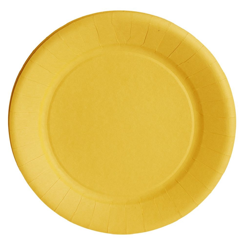 lot de 10 assiettes en carton jaune biodégradable Ø23 cm (GiFi-570453X)