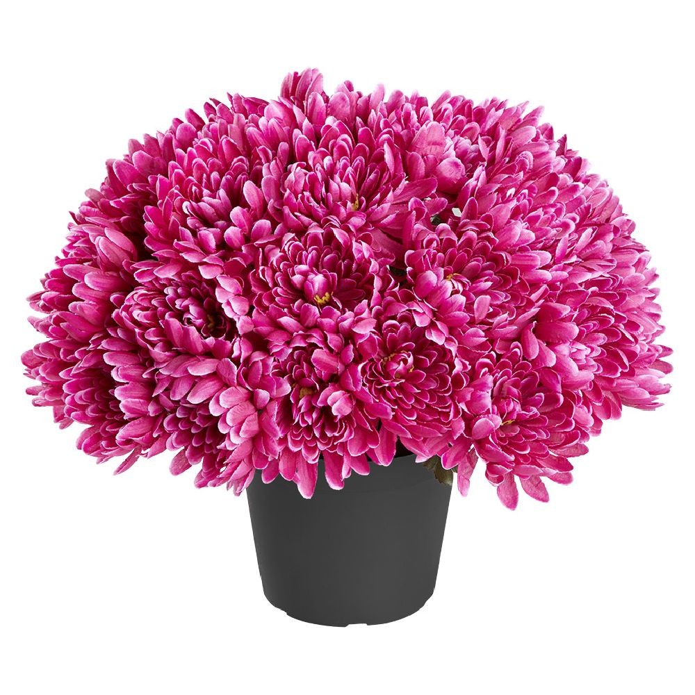 chrysanthèmes artificiels dans pot - 29 têtes - violet (GiFi-593171X)