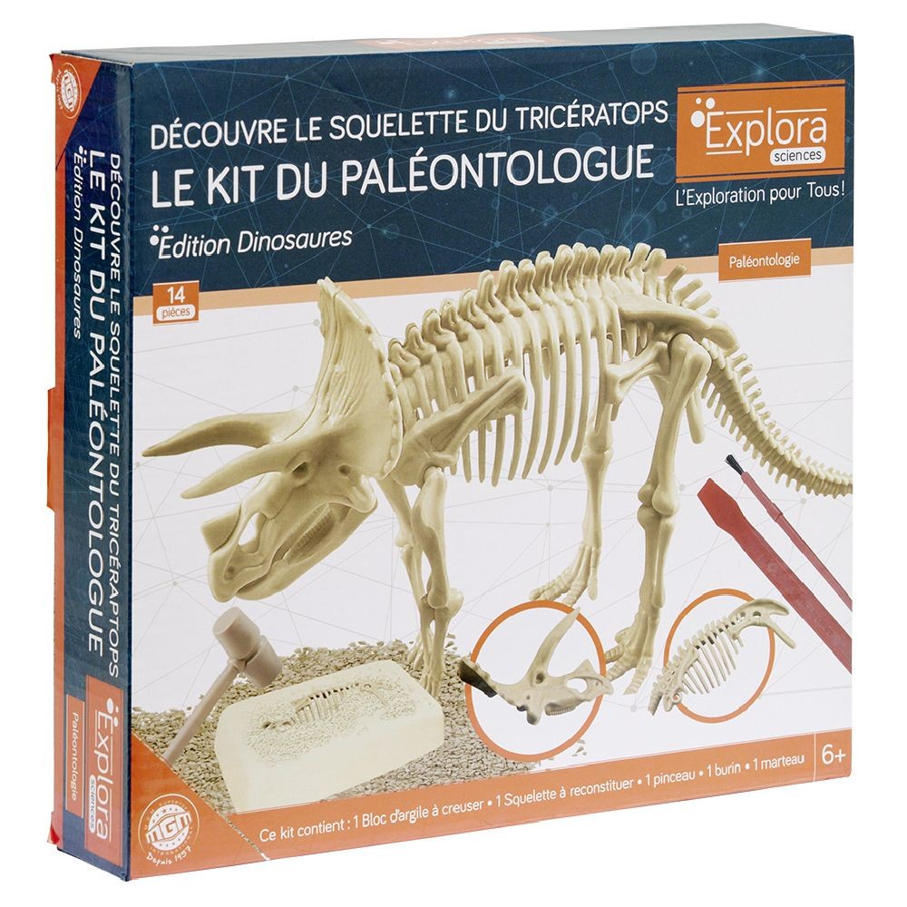 jeu paléontologue - squelette triceratops à reconstituer (GiFi-594454X)