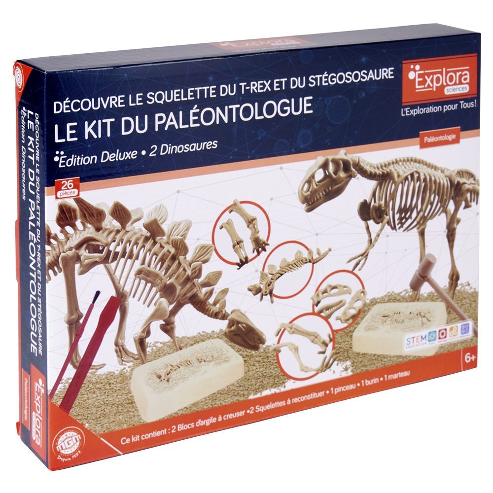 jeu paléontologue - squelette t-rex et stégososaure à reconstituer (GiFi-594460X)