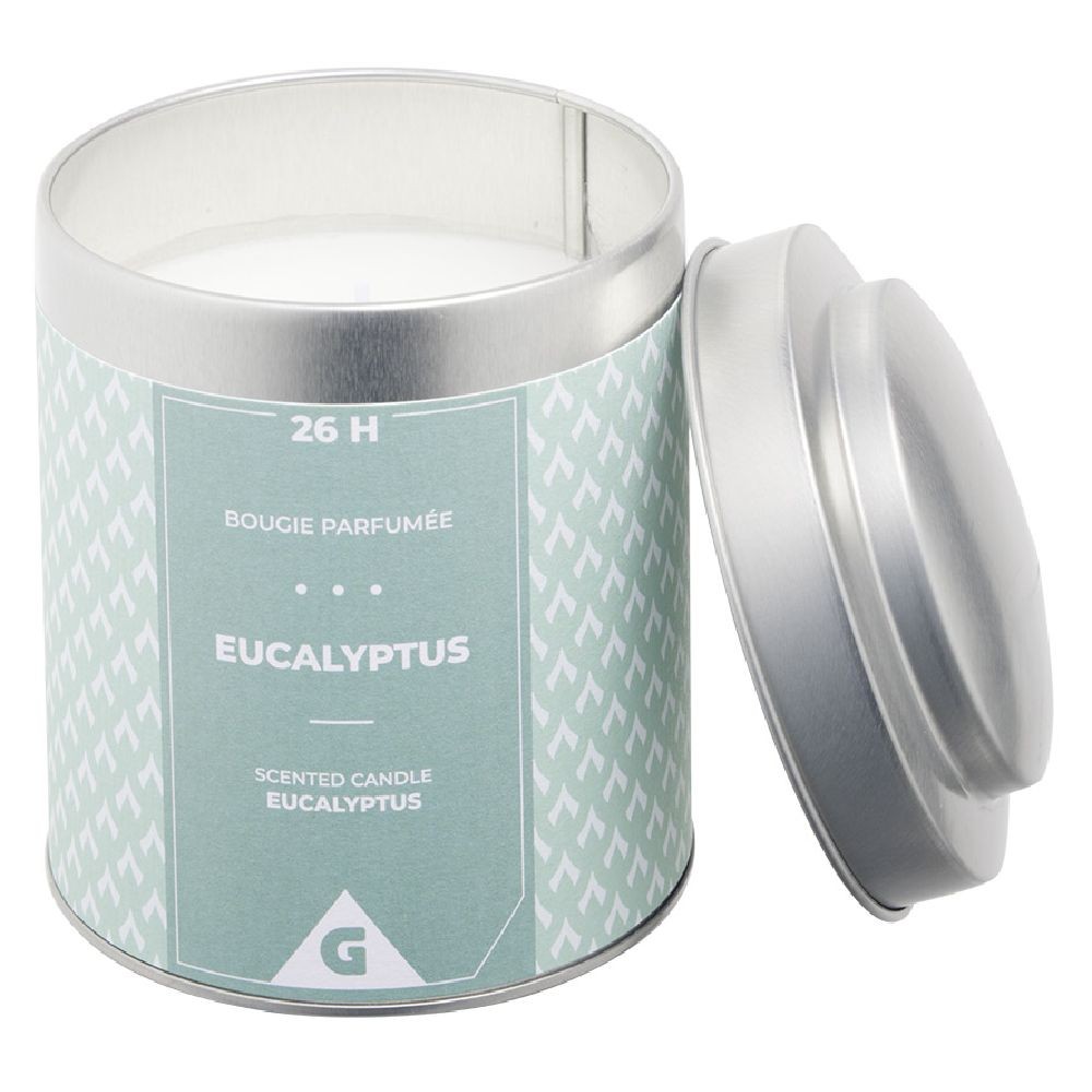 bougie parfumée dans pot métal gris et vert senteur eucalyptus 26h (GiFi-595783X)