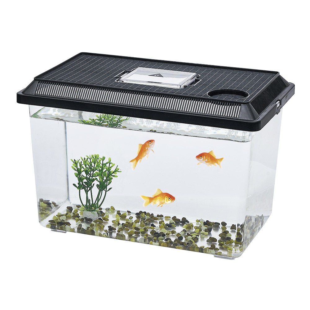 kit aquarium vivarium avec gravier et plante l37x22xh24cm (GiFi-600750X)