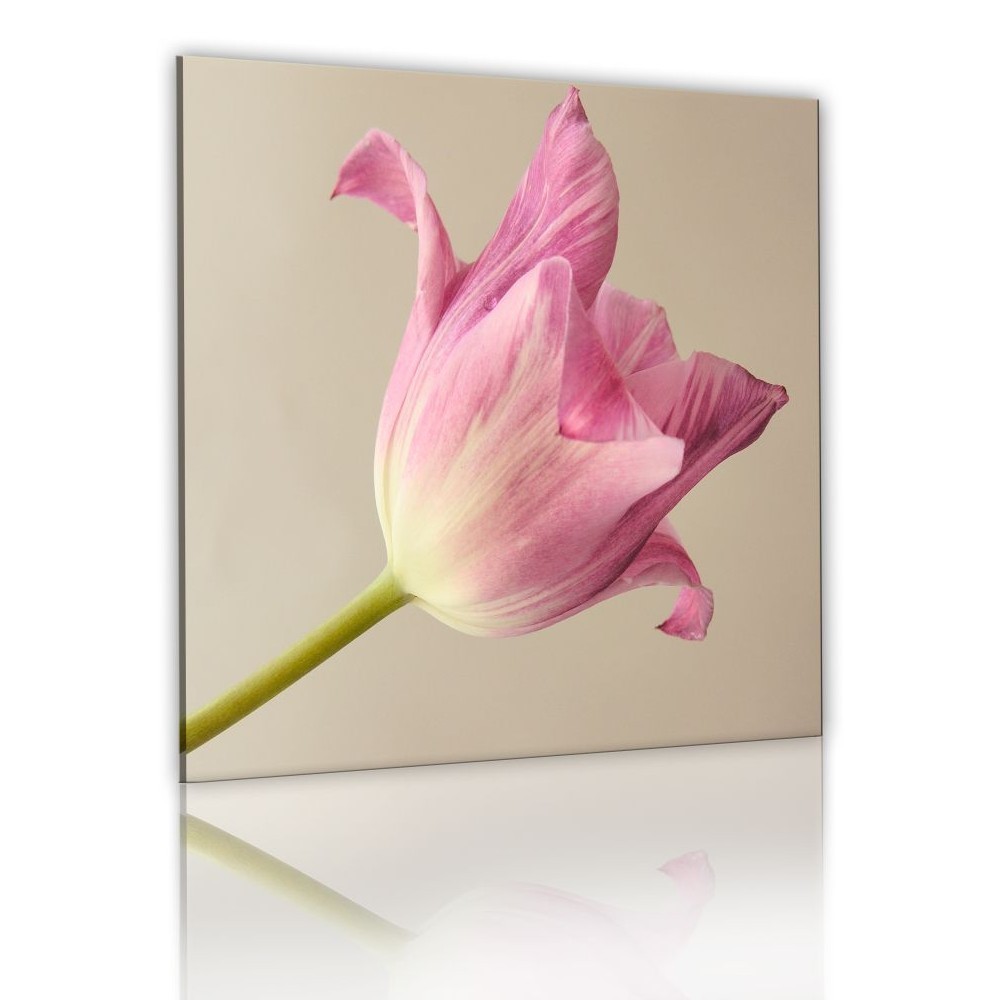 tableau déco tulipe rose (GiFi-804980X)