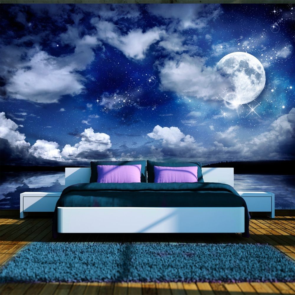 papier peint nuit pleine lune (GiFi-805080X)