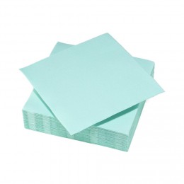 Serviette en papier ouate 2 plis vert d'eau x40