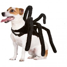 Déguisement araignée pour chien