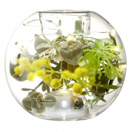Photophore sphère avec plantes et led