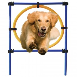 Cerceau ajustable éducatif pour chien Doggy&Co