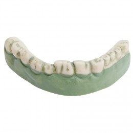 Dentier zombie vert et blanc
