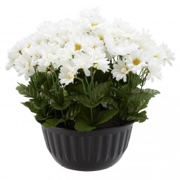 Pot mini marguerite H38 cm blanc - Fleur artificielle