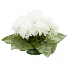 Coussin Chrysanthème artificiel 15 têtes blanc