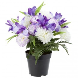 Pot chrysanthème+oeillet+iris H38 cm violet