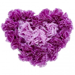 Coussin Oeillet artificiel forme coeur 26 têtes violet
