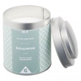 Bougie parfumée dans pot métal gris et vert senteur eucalyptus 26H