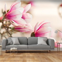 Papier peint magnolia branche fleurie