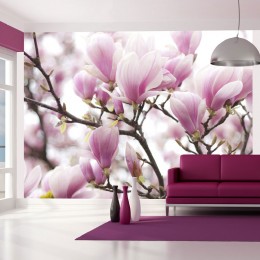 Papier peint fleurs de magnolia