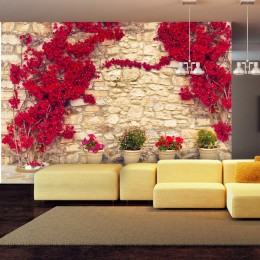 Papier peint mur de pierres déco fleurs rouges