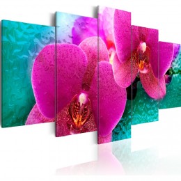 Tableau  5 panneaux orchidées exotiques