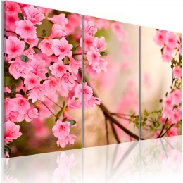 Tableau triptyque fleurs de cerisier