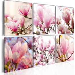 Tableau 6 panneaux magnolias roses