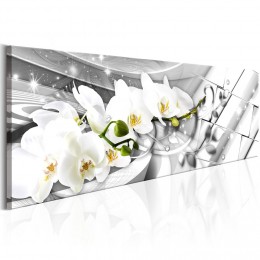 Tableau imprimé Orchidées sur fond chromé