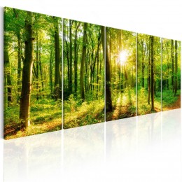Tableau imprimé 5 panneaux Forêt enchanteresse