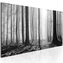 Tableau imprimé Forêt en noir et blanc