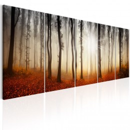 Tableau 5 panneaux Brouillard matinal en forêt