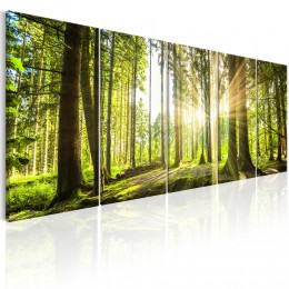 Tableau 5 panneaux Rayons de soleil en forêt