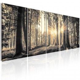 Tableau imprimé 5 panneaux Ombres en forêt