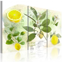 Tableau 3 panneaux imprimé citrons et fleurs blanches