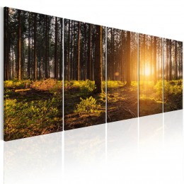 Tableau 5 panneaux imprimé soleil du matin en forêt