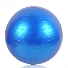 JOJO Ballon de gymnastique et fitness résistant avec pompeØ 65 cm